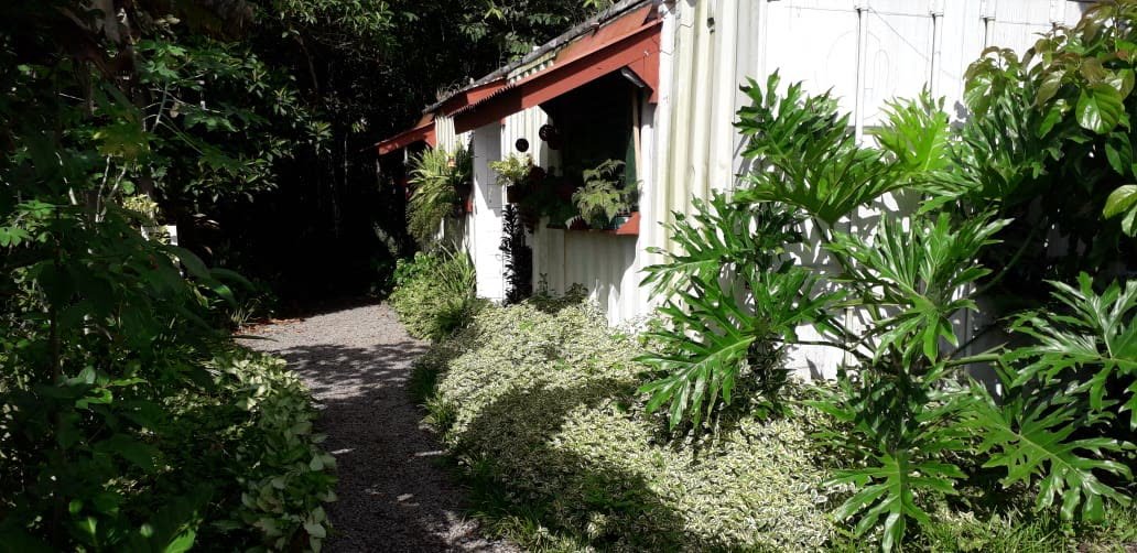Caminho de cascalho entre plantas até a entrada da casa contêiner